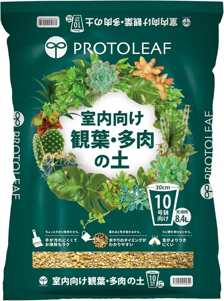 Proto Leaf Indoor Ornaments and Succulent Soil No. 10 Pot 2.1 gal (8.4 L)