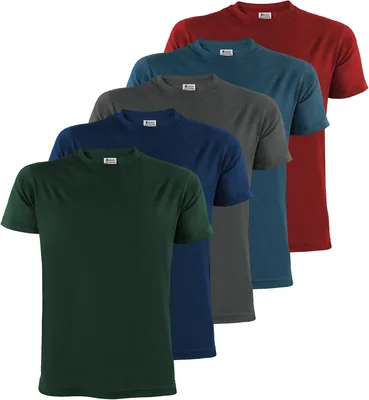 ALPIDEX Hommes T-Shirts S-5XL - Pack de 5 Manches Courtes en Coton 100% | 175 g/m², Manches Courtes, Coupe Régulière, OEKO-TEX, Breat (27% Off)
