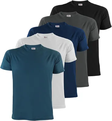 ALPIDEX Men's T-Shirts S-5XL Pack of 5 Basic Short Sleeves 100% Cotton | 175 g/m², Short Sleeve, Reg