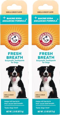 Arm & Hammer Dog Toothpaste Vanilla Ginger 2.5oz Pack of 2