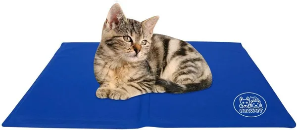 Bravpet Koelmat voor Huisdieren - Zelfkoelende Pad voor Honden en Katten (Medium) - Beste Deal