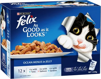 FELIX As Good As It Looks Wet Cat Food 60x85g Best Deal