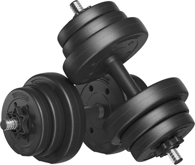 SONGMICS 2-in-1 Dumbbell Set - Best Price