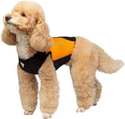 Cressi Dog Wetsuit XXXS