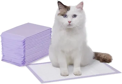 Amazon Basics Cat Pad Refills Purple & White (Pack of 20) - Best Deal