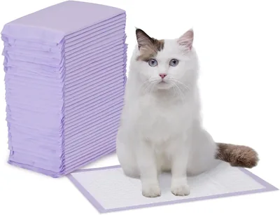 Amazon Basics Cat Pad Refills Purple & White, 40 Packs Best Deal