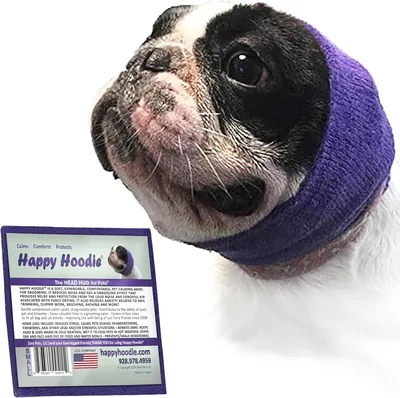 ZONI PETS Happy Hoodie Small Purple Best Deal