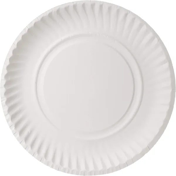 Hotpack White 100pc Disposable Plates