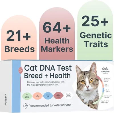 Basepaws Cat DNA Test | Breed & Health Insights
