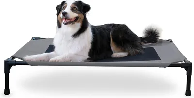 K&H Pet Products Dog Cot Bed - Large, Elevated Outdoor Dog Bed - Cooling Hammock - Washable & Portable