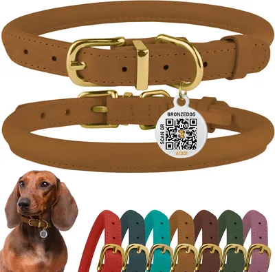 BronzeDog Rolled Leather Dog Collar with QR ID Tag