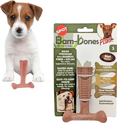SPOT Bambone Plus Chew Toy 4" Beef, Assorted - Best Deal