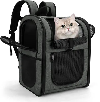 Apollo Walker Pet Carrier Backpack - Large/Small Cats & Dogs, Safety Features, Best Deal