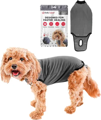Dog Recovery Onesie - Cone Alternative Post Surgery