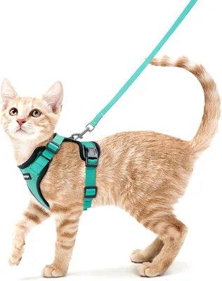Rabbitgoo Katenharnas en Leash 150 cm, Anti-Ontsnappingsharnas voor Katten, Reflecterend en Ademend