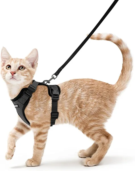 Rabbitgoo Katenslede en Leash 150cm, Anti-Ontsnappingsslede voor Kat, Verstelbaar, Reflecterend