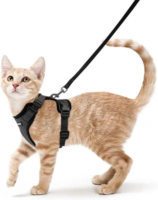 Rabbitgoo Katensleutel en Leash 150 cm, Anti-Ontsnapping Katensleutel Verstelbaar, Katensleutel Reflecterend Zacht en Ademend, Kat