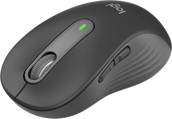 Logitech Signature M650 L Wireless Mouse - for Big Hands, Quiet Clicks, Adjustable Side Buttons, Bluetooth, Multi-Device Compatibility - Graphite