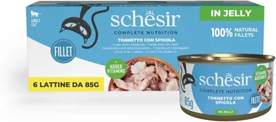 Schesir Tonijn in Gel met Stinger, Volledige Natvoeding voor Katten, Met Extra Vitamines, 100% Natuurlijk, 6 Dosen van 85 g (75% Korting)