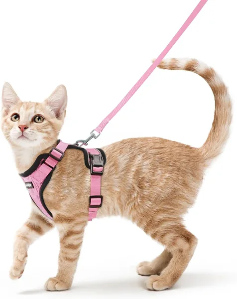 Rabbitgoo Katenslede en Leash 150cm, Anti-Ontsnappingsharnas voor Kat, Reflecterend, Ademend