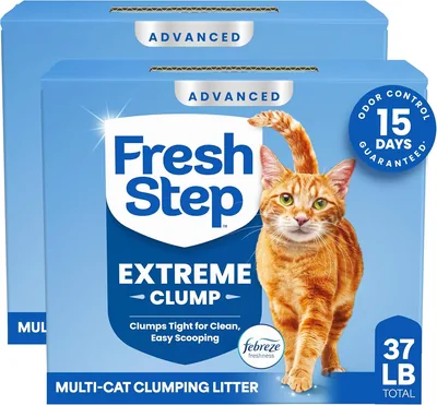 Fresh Step Advanced Extreme Clumping con Control de Olores, Aroma Mountain Spring. 37 lb (2 packs de 18.5 lb) - Mejor Oferta