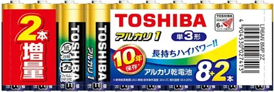 東芝 アルカリ電池  AA 10セル (8+2増量) 1.5V 10年保証 漏電防止建設 アルカ
