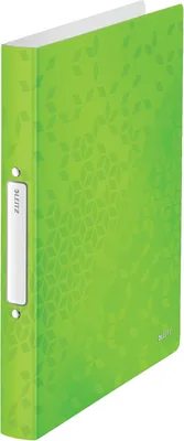 Leitz 42570054 - Classeur A4 à anneaux double, capacité jusqu'à 190 feuilles, dos 25 mm, vert