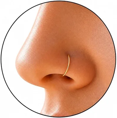 Gold Clip-On Nose Ring - 22G Hoop Best Deal