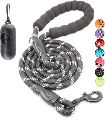 BAAPET Dog Leash with Padded Handle & Reflective Threads