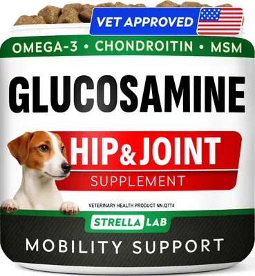 Advanced Glucosamine Dog Chews - Hip & Joint Support Best Deal