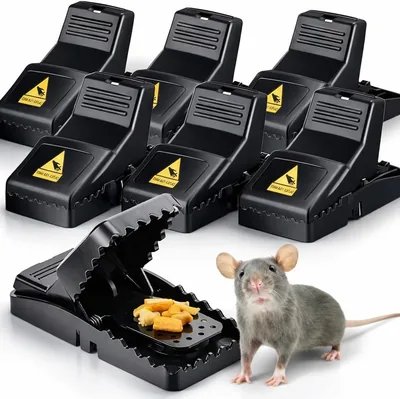 6x Ratfänger & Mausfänger - Einfach zu bedienen, einfach zu füttern und wiederverwendbar - für Mäuse & Ratten