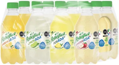 Peñafiel Adas Sabores Surtidos 355 ml, Botella Pet (12 pack) - 13% Descuento
