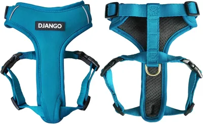 DJANGO Adventure Dog Harness - Pacific Blue Ne, Best Deal