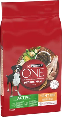 Purina One Active pour Chiens Adultes de Grande Taille > 10kg - Aliment Dry Protéiné Élevé