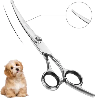 Chibuy Curved Scissors for Dog Grooming - Round Tips, 4CR Stainless Steel