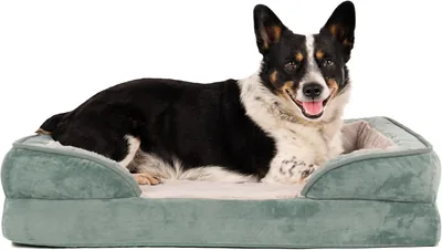 Furhaven Cooling Gel Dog Bed Medium/Small Sizes Best Deal