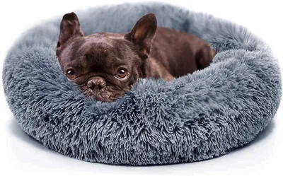 Calming Dog Beds for Small Dogs - Washable Fluffy Luxury Donut Bed with Anti-Slip Base & Fur Blanket, Best Deal