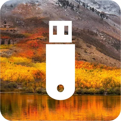 Clé d'installation D-S Systems compatible avec macOS 10.13 High Sierra - USB OS X Bootable Installation Key - Récupération bootable