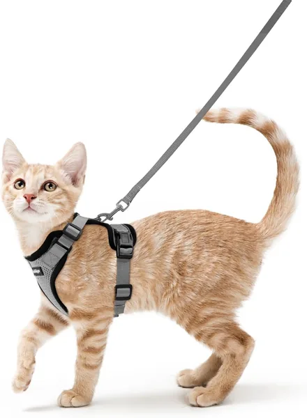 Rabbitgoo Katensport en Leash 150cm, Anti-Ontsnapping Riem, Verstelbaar, Reflecterend