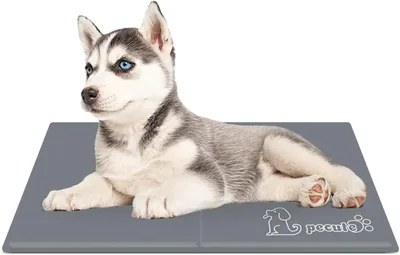Mat de refroidissement Pecute pour chiens | Petit 50 x 40 cm | Reste froid plus longtemps, plus durable - Résistant aux rayures | Pour chiens et chats