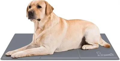 Mat de refroidissement Pecute pour chats et chiens | L 90 x 50 cm | Mise à niveau 2021 - Restez froid plus longtemps | Plus durable - Résistant aux rayures (Gris)
