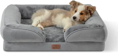 Orthopedic Dog Bed, Egg Shaped Memory Foam, Small Dogs