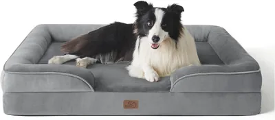 Orthopedic Dog Bed, Egg Shaped Memory Foam for Medium Dogs