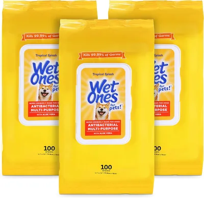 Wet Ones for Pets Antibacterial Dog Wipes with Aloe Vera, 100x3 Pack - Best Deal
