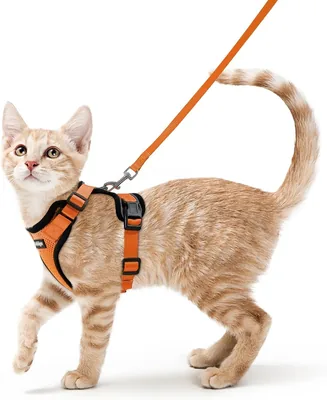Rabbitgoo Katensporen en Leash 150 cm, Anti-Ontsnapping Katensporen Verstelbaar, Reflecterend en Ademend voor Katten