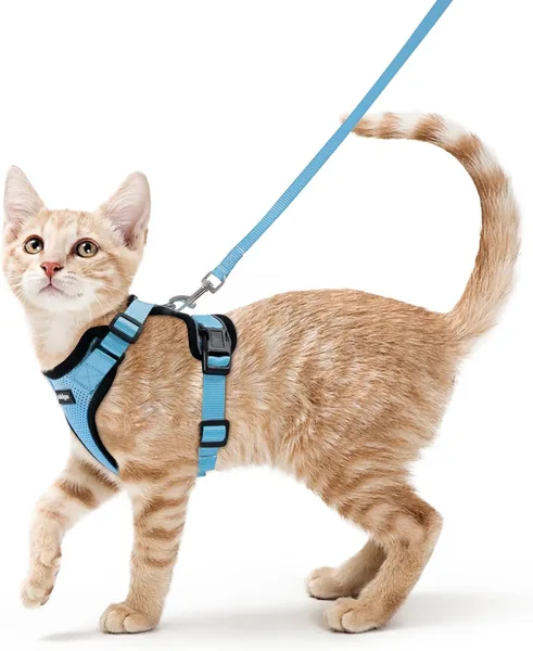 Rabbitgoo Katenslede en Leash 150cm, Anti-Ontsnapping Katenslede Verstelbaar, Katenslede Reflecterend van Zacht en Ademend