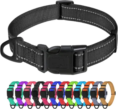 Collier réfléchissant TagME ajustable pour chien, Moyen, Noir, 2,5 cm | Bande en nylon léger et durable avec anneau D métallique