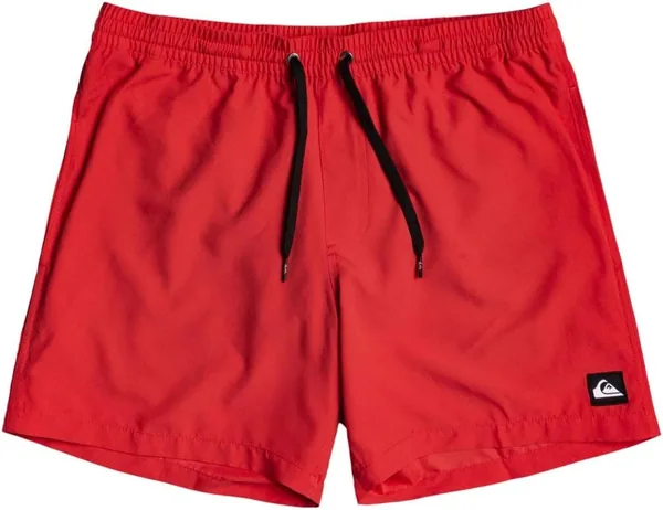 Quiksilver Boys Everyday Youth Shorts (EUR)