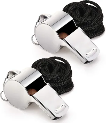 Fya Stainless Steel Whistle with Lanyard Best Deal