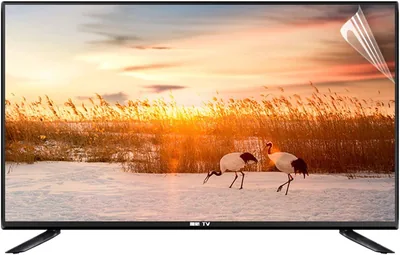 KELUNIS TV Screen Protector 32-75 Inch Matte Film Best Deal
